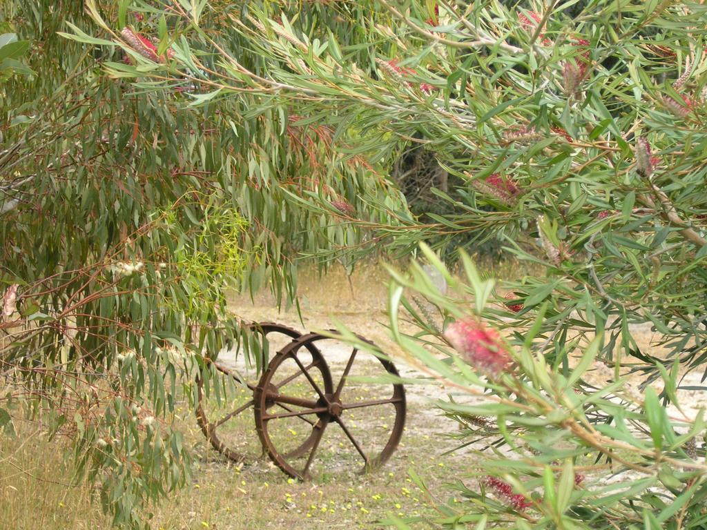 Ellensbrook Cottages Cowaramup Eksteriør bilde